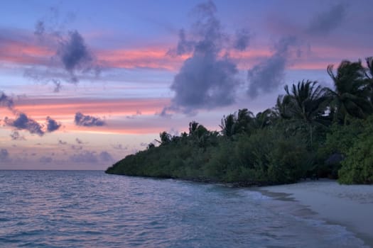 Dusk V