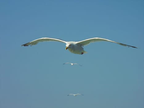 Created in July 2003 at Langeoog. Minolta Dimage 7i.