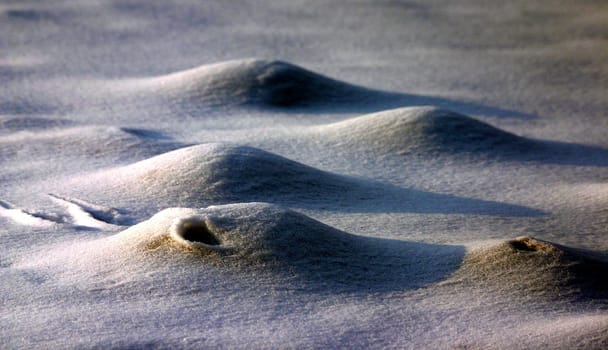 Ice Moon II