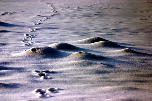 Ice Moon III