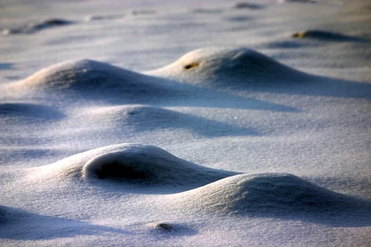 Ice Moon I