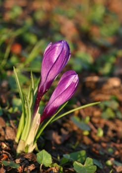 I wish everyone who knows me a few wonderful Easter days... and I look forward to meeting you in April. All the best, Bea