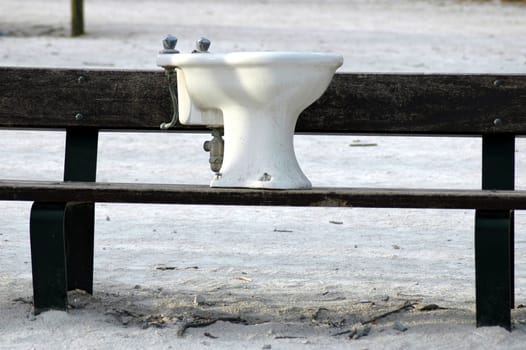 Two students dragged the toilet to the park bench to take a series of photos. I thought the idea was funny...
