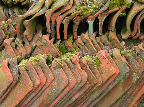 Seen during a walk through the open-air museum
