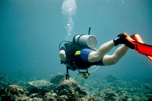 Diver meets Schildi