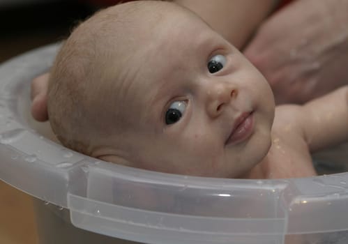 Bathing day
