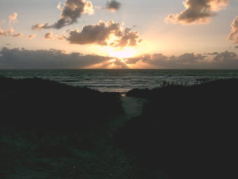 A morning walk on the beach with camera in hand.