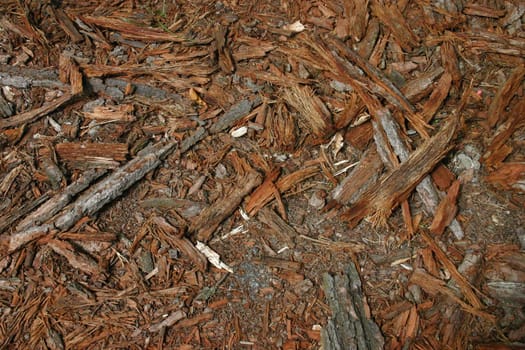 Bark shavings