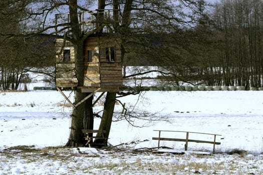 Winter