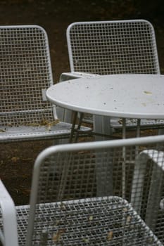 Rainy Summer