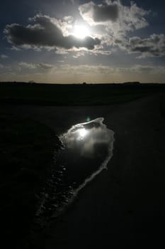 Puddle Mirror