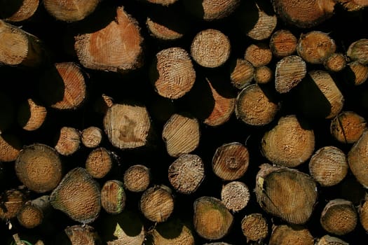 Stacks of wood