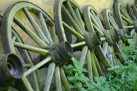 Wagon wheels