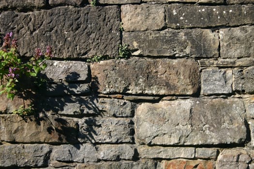 Quarry stone wall