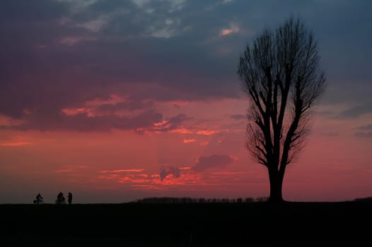 Taken during an evening walk along the Rhine in Düsseldorf.