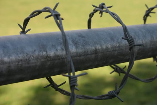 Barbed wire
