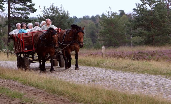 Carriage ride