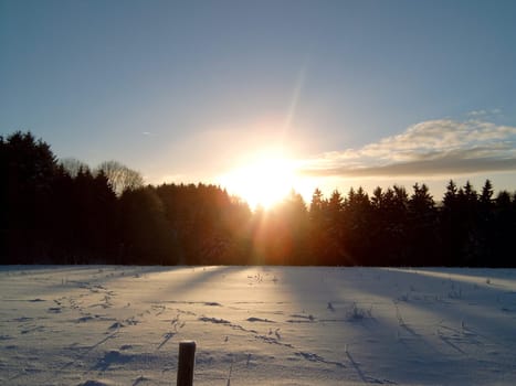 Winter in the Upper Harz 20.12.2004