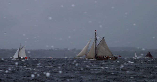 Rum regatta 2004,a lot of wind and some ships were unlucky. But only material damage.