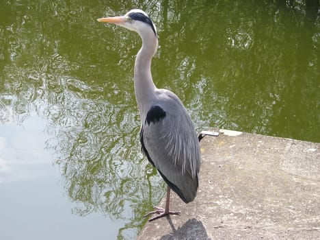 Taken in the park of a city.