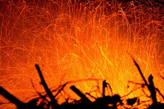 Feuer's work