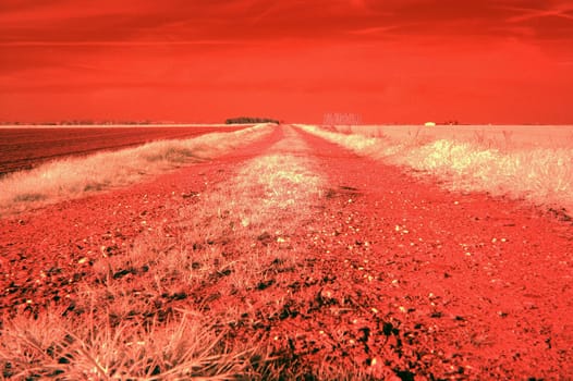 Created in April 2005 near Euskirchen. Nikon D70 with Sigma 28/1.8 and infrared filter.