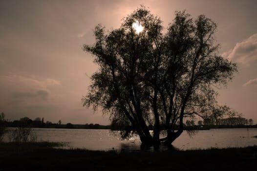 A place to dream