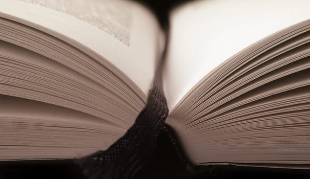 Open Book II
