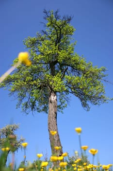 Beautiful nature just around the corner