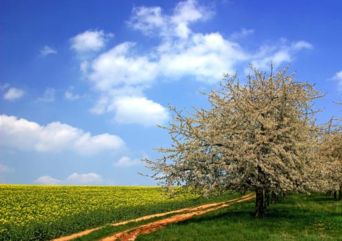photographed with the polarizing filter