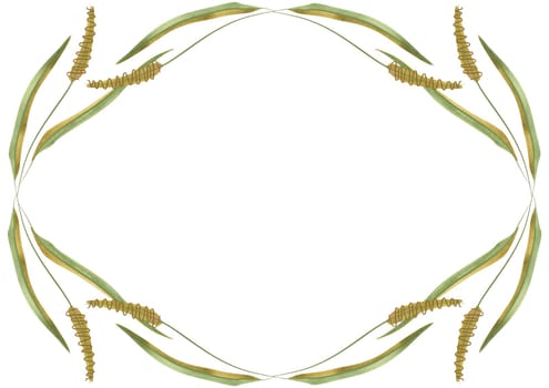 Oval wreath of wild grasses, cereals, ears and leaves. Decor for graphic design, printing and packaging. Isolated hand-drawn watercolor illustration