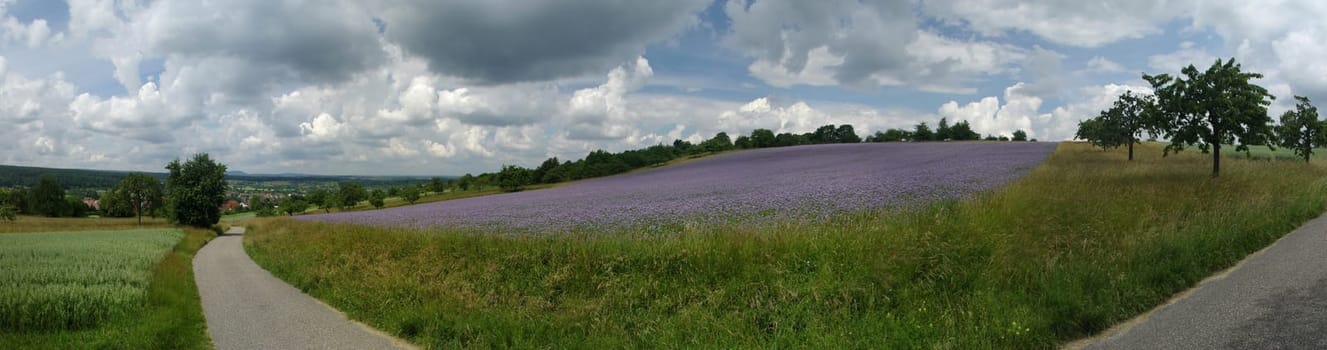 Panorama