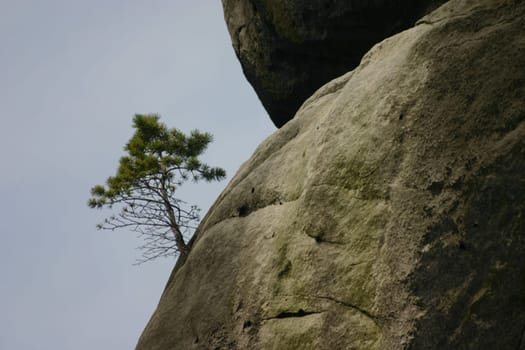 Lonely and high up