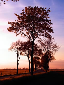 Created near Euskirchen in May 2005.