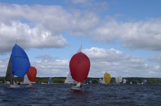 Regatta on the Flensburg Fjord in front of Glücksburg.