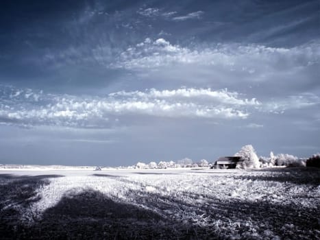 Created near Euskirchen in May 2005. Converted Jenoptik digital camera without infrared cut filter. Post-processed by channel replacement.