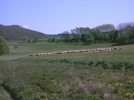 On a bike tour,I just found it idyllic