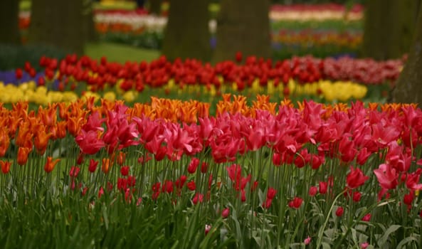 Kunterbunt 3...