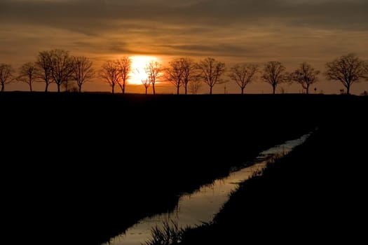 Avenue at sunset