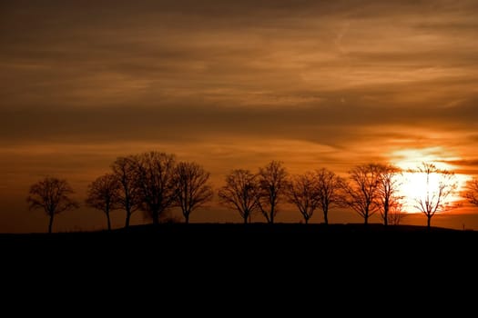 Avenue at sunset