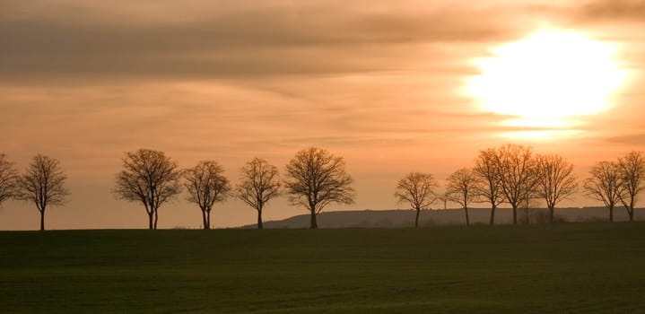 Avenue at sunset