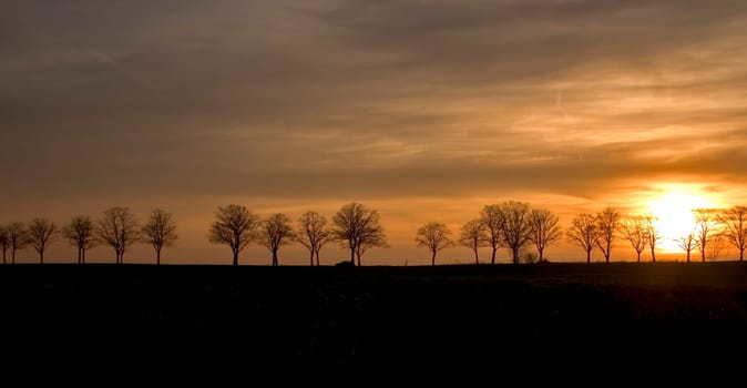 Avenue at sunset