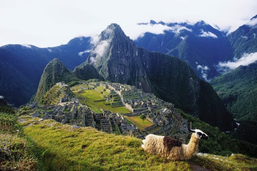 Peru trip 1993 Data up to poster size available. Machu Pichu in the high Andes on the Urubamba River. (Peru). It wasn't until 1911 that Hiram Bingham of Yale University discovered the city and called it mountaintop.