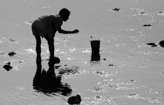 Fisherman