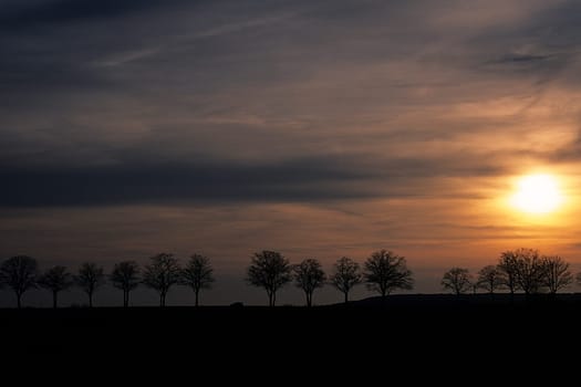 Avenue at sunset