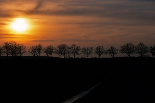 Avenue at sunset