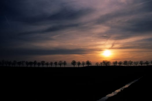 Avenue at sunset