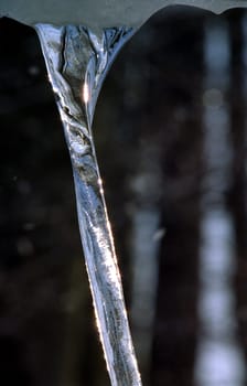 Sculpture made of ice