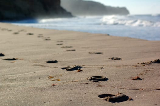 Tracks on the beach