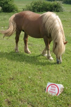 Feeding prohibited